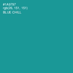 #1A9797 - Blue Chill Color Image